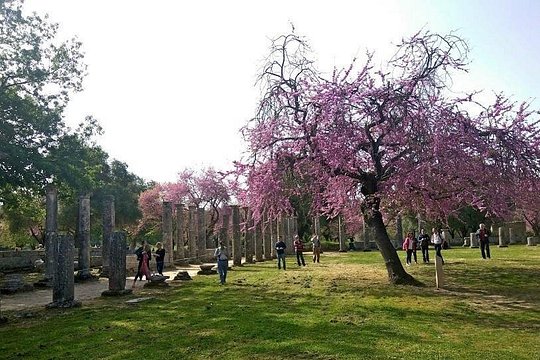 Tour image 6