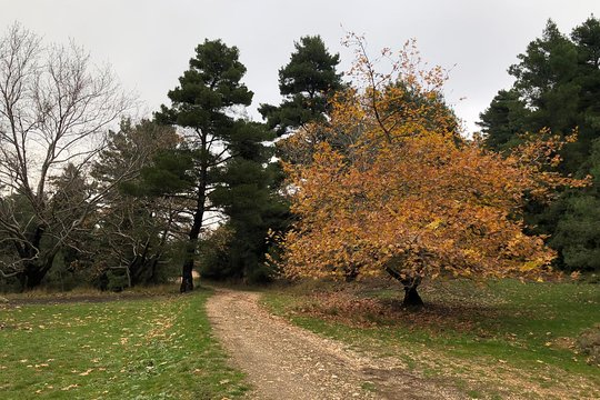 Tour image 2