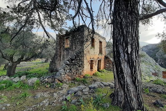 Tour image 9