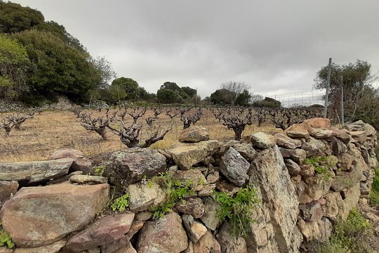 Tour image 1
