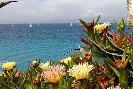 Tour image 1