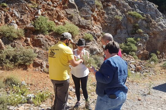 Tour image 6