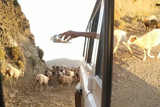 Tour image 2