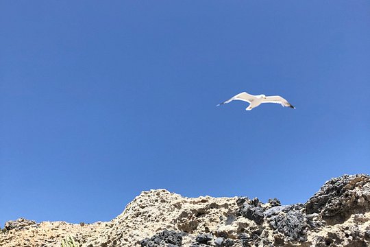 Tour image 13